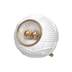 Rechargeable Cat Toy Ball with Music Light Silicone
